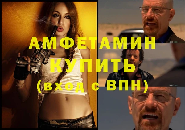 шишки Дмитров