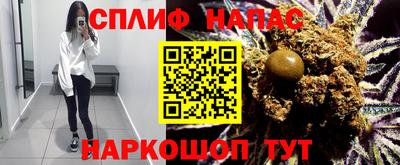 тгк Гатчина