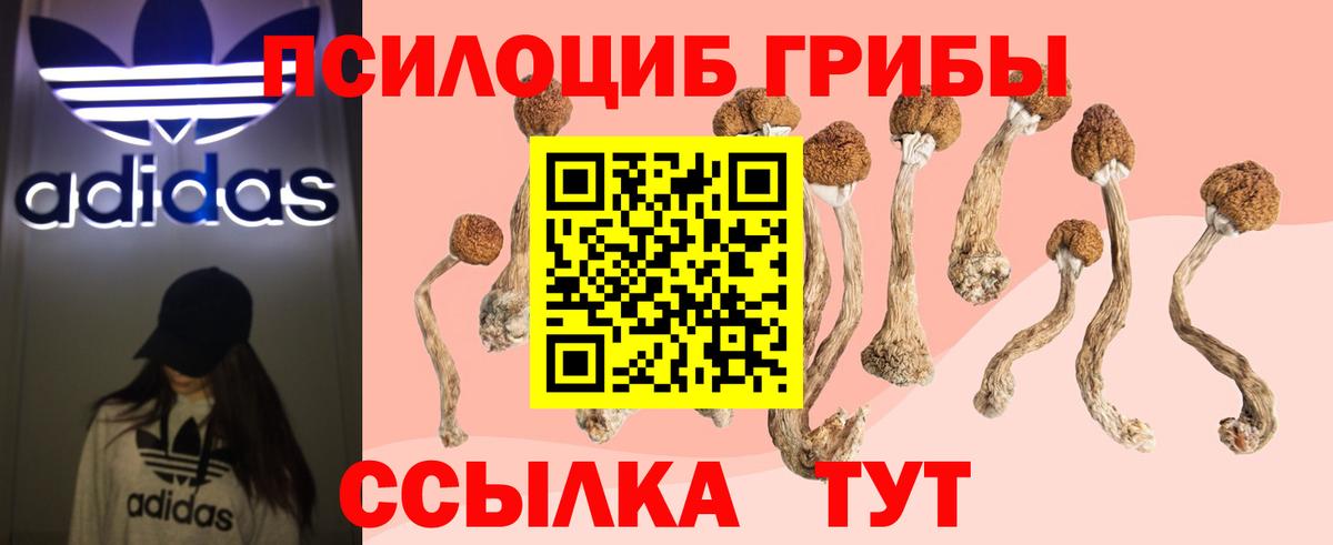 Кандалакша  наркошоп  Вход с VPN  Псилоцибиновые грибы Cubensis 